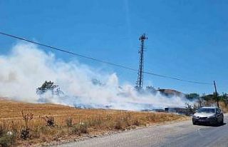 Bursa’da örtü yangını