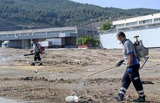 Büyükşehir’in temizlik ekipleri sahada