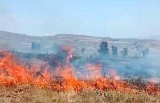 Tunceli’deki arazi yangını söndürüldü