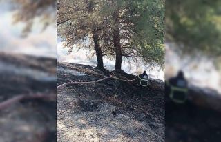 Antakya’da örtü yangını