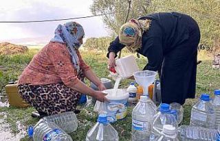 Yüksekova’da kışlık süt mesaisi