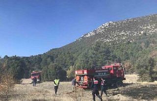 Akseki’de tarım arazisinde yangın