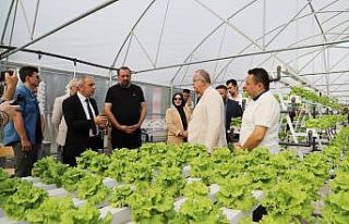 Amasya Üniversitesinde serada üretim