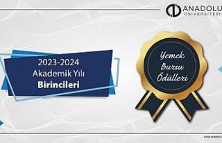 Anadolu Üniversitesi başarının yanında