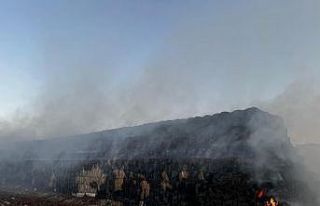 Cizre’de saman balyaları yandı