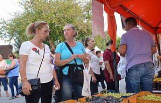 Didim Zeytin Festivali başladı