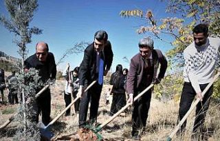 Fidanlar toprakla buluştu