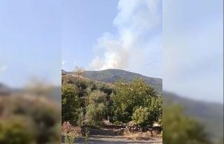 Gaziantep’te orman yangını