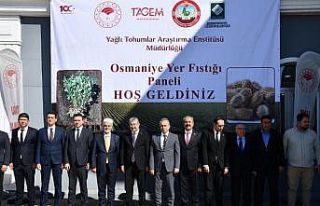 Osmaniye’de yerfıstığı paneli düzenlendi