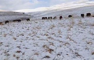 Ağrı’da kış kapıya dayandı