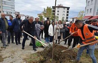 Atakum yeşile bürünüyor