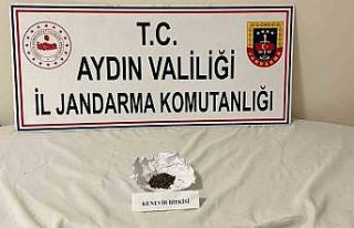 Aydın jandarmasından uyuşturucu operasyonu