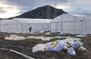 Beyşehir’de üreticilere sera desteği