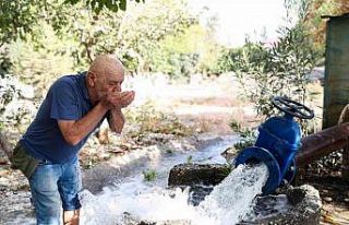 Büyükşehir’den Demreli üreticilere destek