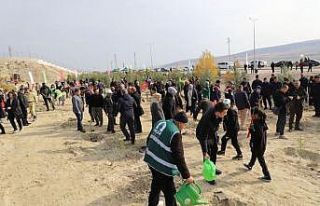 Çankırı’da fidanlar toprakla buluştu