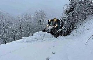 Doğu Karadeniz’de kış