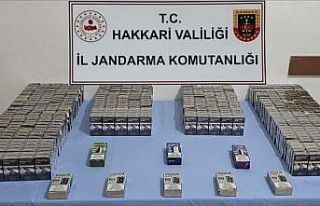 Hakkari’de gümrük kaçakçılığı operasyonu