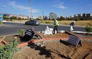 Kahramanmaraş refüjlerinde peyzaj düzenlemeleri