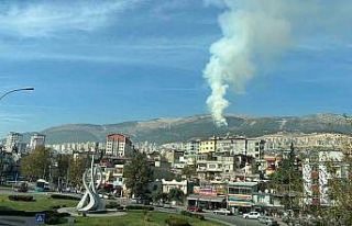 Kahramanmaraş’ta orman yangını