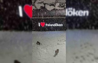 Palandöken’de tilkilerin kar sevinci