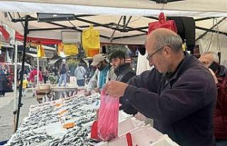 Tezgahların gözdesi hamsi oldu