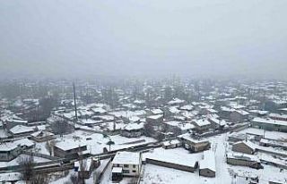 Ağrı yeniden beyaza büründü