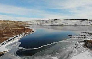 Burası Antarktika değil Kars