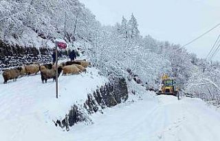 Doğu Karadeniz’de kış