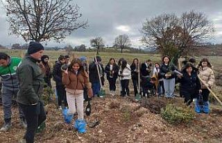 Emet’te fidan dikim etkinliği