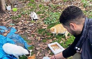 Öğrencilerden sokak hayvanlarına şefkat