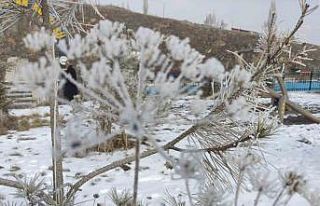 Ardahan’da Sibirya soğukları