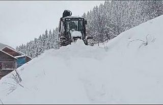Giresun’da karla mücadele