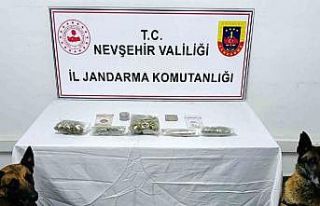 Uyuşturucuyu narkotik köpeği buldu