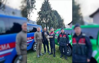 Yaralı Şahin’e HAYDİ şefkati