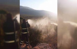 Yayladağı’nda zeytinlik yangını