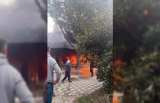 Arı ürünleri deposunda yangın