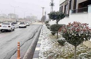 Besni’de kar yağışı başladı