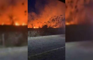 Köyceğiz’de sazlık yangını başladı