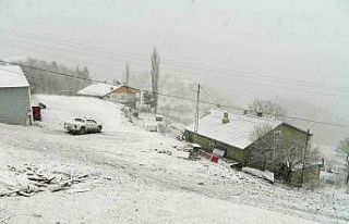 Posof yeniden beyaza büründü