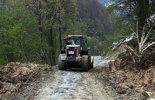 Samandere Şelalesi yolunda heyelan