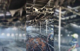 Tarsus’ta tavuk çiftliğinde yangın