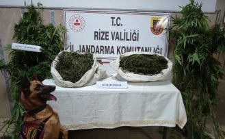 Rize’de jandarmadan uyuşturucu operasyonu