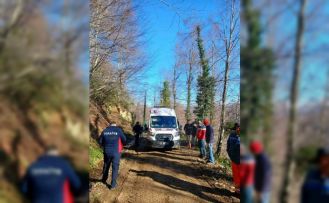 Üzerine tomruk devrilen işçi yaralandı