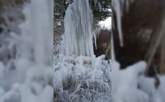 Gediz’de ağaçlarda buz sarkıtları oluştu