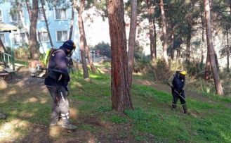 Gemlik’te Yeşil Seferberlik