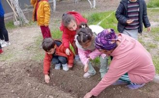 Minik eller tohumları toprakla buluşturdu