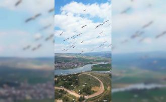 Bursa’da pelikanlar böyle görüntülendi