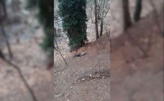 Kumalığı kabul etmeyen kadının başını taşla ezerek öldürdü