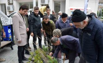 Türkeli’de vatandaşlara ücretsiz fidan dağıtıldı