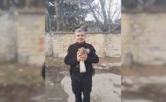 Tatvan’da yaralı şahin yavrusu bulundu